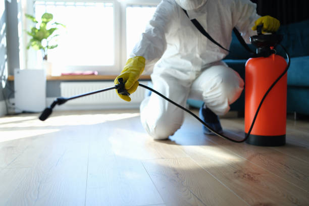 Reliable Odor Removal contractor in Lakeview, CA by Trauma Clean Pros